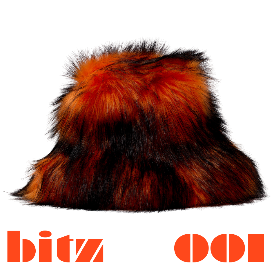 bitz.001