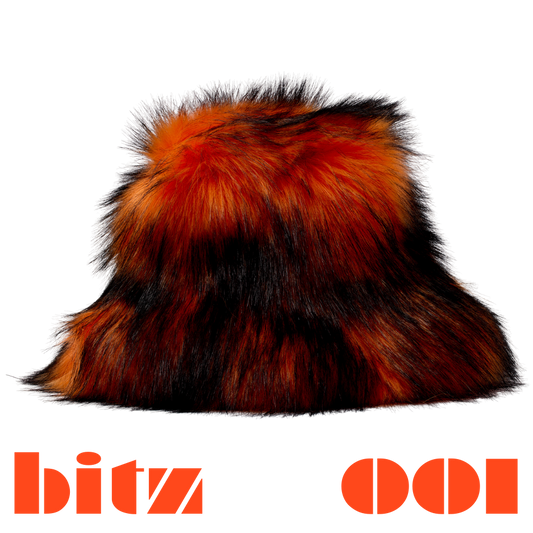 bitz.001