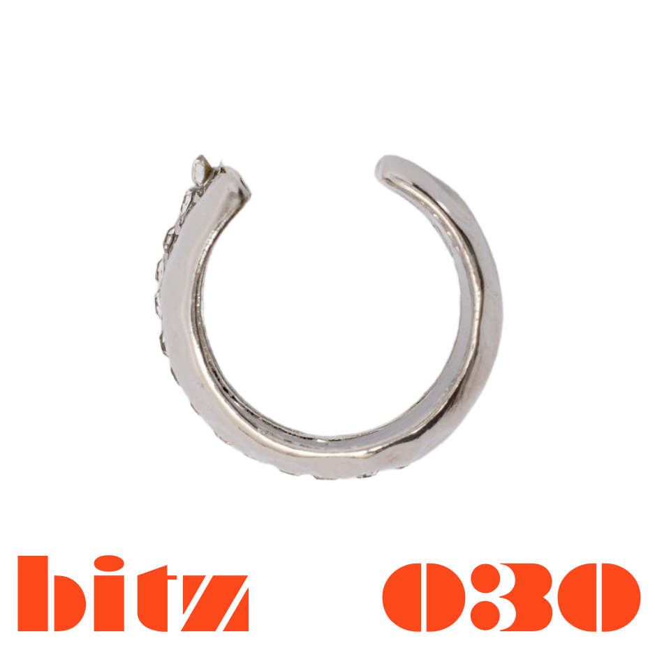 bitz.030