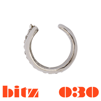 bitz.030
