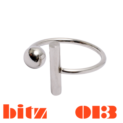 bitz.013